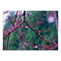 Dew Greeting Card