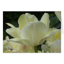 dew kissed tulip card