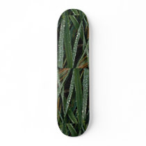 Dew on blades of grass skate boards
