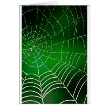 Dew on spiderweb card