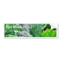 Dew Water Droplets Drops Bumper Sticker