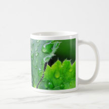 Dew Water Droplets Drops Mugs