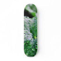 Dew Water Droplets Drops Skate Board Decks