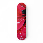 Dew Water Drops On Flower skateboards