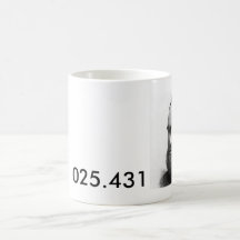 dewey, 025.431 mugs