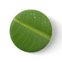 Dewey Banana Leaf 1 Pinback Buttons