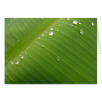 Dewey Banana Leaf 2 Greeting Cards
