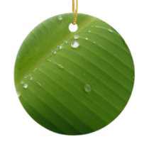Dewey Banana Leaf 2 Ornaments
