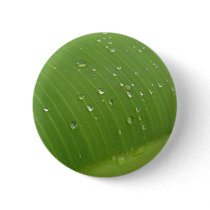 Dewey Banana Leaf 3 Buttons