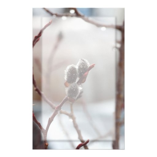 Dewy Catkin Customized Stationery