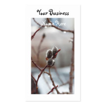 Dewy Catkin; Promotional Business Card