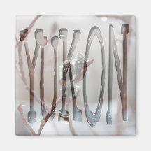 Dewy Catkin; Yukon Territory Souvenir Fridge Magnet