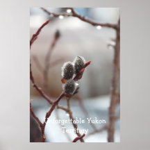 Dewy Catkin; Yukon Territory Souvenir Posters