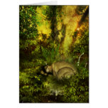 dewy dreams cards