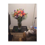 Dexter and Flowers postcards