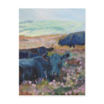 Dexter Cows on Dartmoor Acrylic Painting Poster postcards