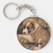 Dexter Key ring Key Chain