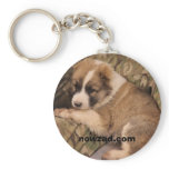 Dexter Key ring keychains