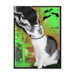 Dexterstein postcards