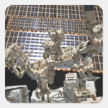 Dextre Square Sticker