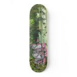 Dezeinswell "Seeds Please" skateboards