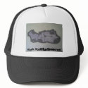 dgs, DGS SKATEBOARDS hats
