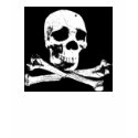 DGT SKULL t-shirts