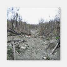 DI-Indian Creek Fire 017 Refrigerator Magnets
