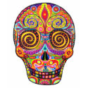 Dia de los Muertos T-shirt