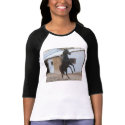 DIADHEMS DREAM t-shirts