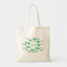 Diagram of Chloroplast Replication Cycle Bag