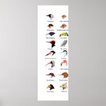 Diagram of Different Bird Beak Adaptations posters