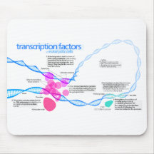 Diagram of gene transcription factors mouse pads