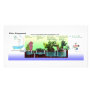 Diagram of Greywater Processing Custom Photo Card