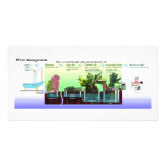 Diagram of Greywater Processing photo cards