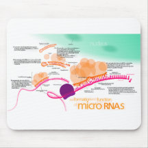 Diagram of microRNA Mouse Pad