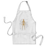 Diagram of the Human Body's Nervous System aprons
