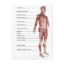 Diagram of the muscular system postcards