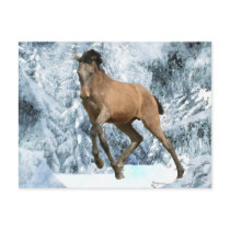 DIAMANTE'S WINTER FUN POST CARD