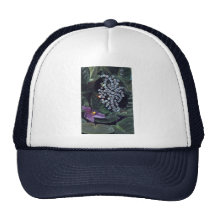 Diamond brooch mesh hats