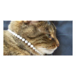 Diamond Cat Bookmark photo cards