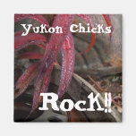 Diamonds on a Leaf; Yukon Chicks ROCK Magnets