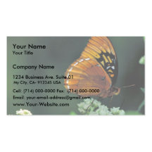 Diana fritillary on Wild quinine Business Card Templates