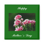 Dianthus  #1 magnets