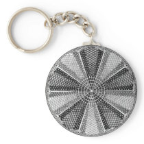 Diatom 13