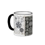 diatom, diatom, navicula mugs