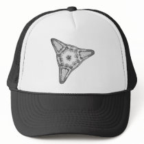 Diatom Trucker Hat