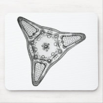 Diatom Mouse Pad