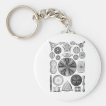 Diatoms Keychains