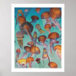 Dibble_Artworks_126_Jellies Posters
